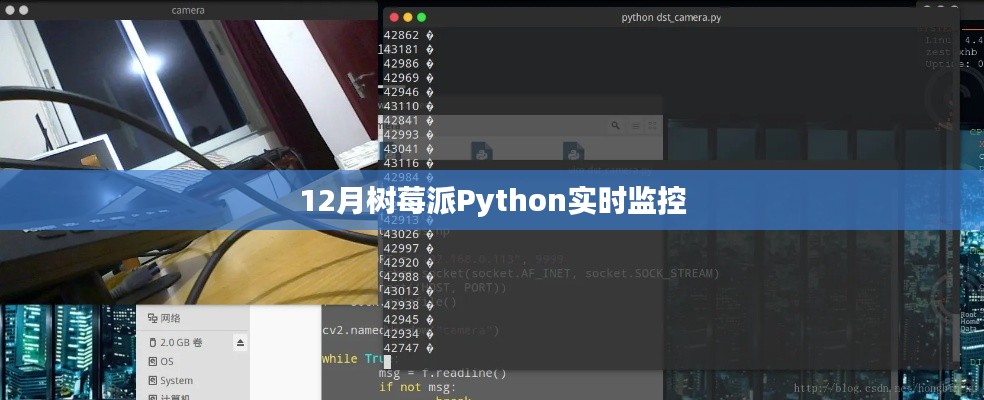 树莓派Python实时监控教程，12月操作指南