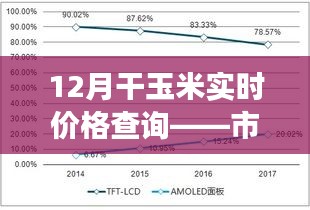 干玉米实时价格查询，市场走势及影响因素解析