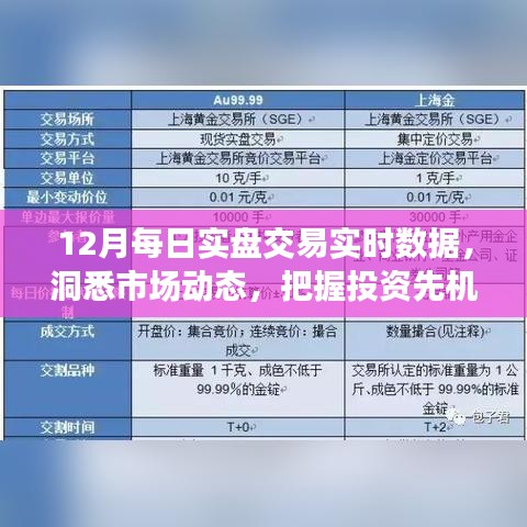 12月实时交易数据解析，洞悉市场，掌握先机