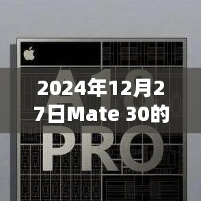 Mate 30实时翻译，跨语言沟通的新纪元