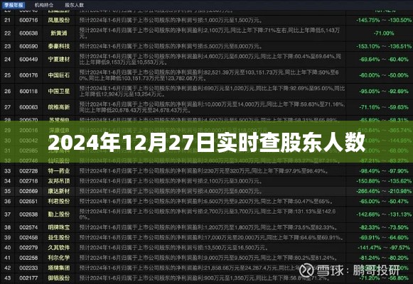 关于股东人数的实时查询通知，最新日期为2024年12月27日