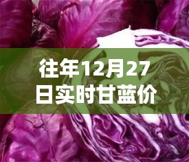 往年12月27日甘蓝价格实时分析