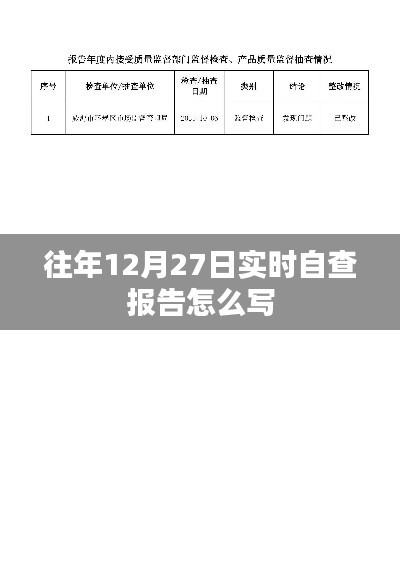 往年年末自查报告撰写指南，实时自查报告写作要点与技巧