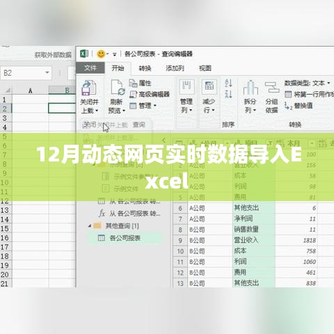 12月动态网页数据实时导入Excel操作指南