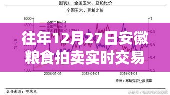 安徽粮食拍卖实时交易情况分析（往年12月27日）