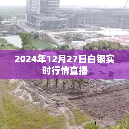 2024年白银行情直播，最新动态与趋势分析