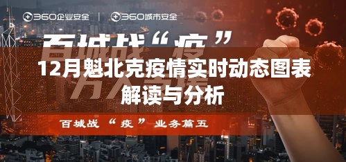 魁北克疫情实时动态图表解析与趋势观察