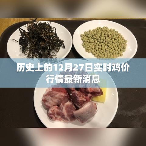 关于鸡价行情的实时更新消息，历史鸡价行情动态