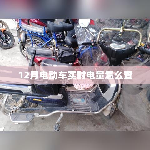 电动车实时电量查询方法解析