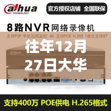大华录像机实时预览功能介绍