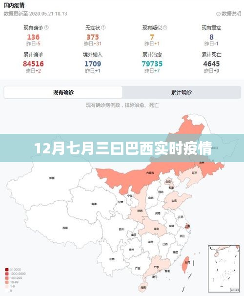 巴西实时疫情数据（截至十二月七日）