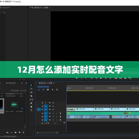 实时配音文字添加指南，12月操作教程