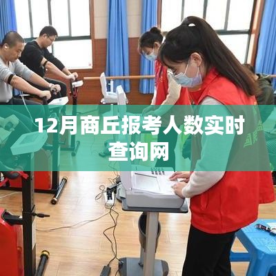 商丘报考人数实时查询系统（12月版）