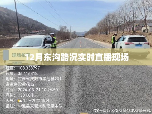 东沟路况实时直播，掌握最新路况信息