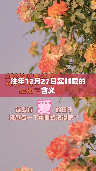 往年12月27日爱的实时含义解读
