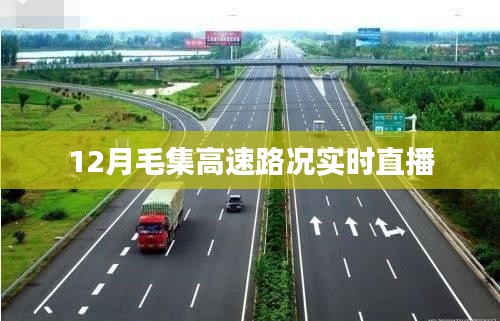 毛集高速实时路况直播，掌握最新路况信息