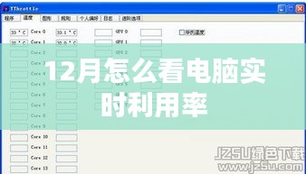 电脑实时利用率监控指南，十二月必备技能
