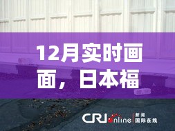 日本福岛核电站最新动态，十二月实时更新画面