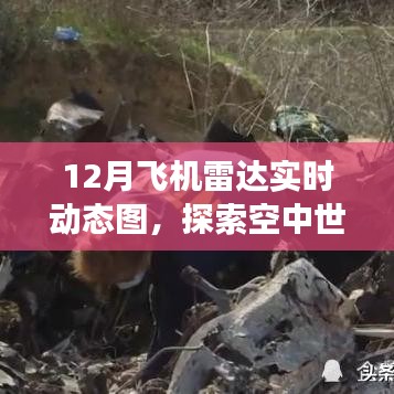 探索空中世界，实时飞机雷达动态图展示
