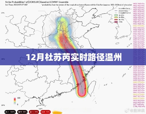 杜苏芮台风实时路径追踪，温州地区受影响情况