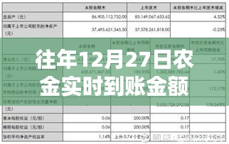 农金实时到账操作解析，往年12月27日资金操作详解
