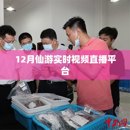仙游实时视频直播，12月精彩内容一网打尽
