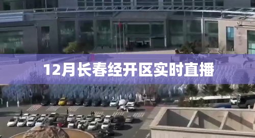 小家碧玉
