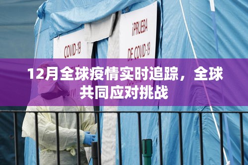 全球疫情实时追踪，共同应对挑战