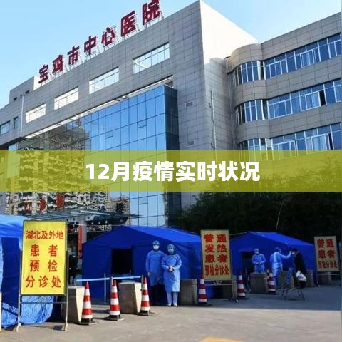 箭拔弩张 第2页