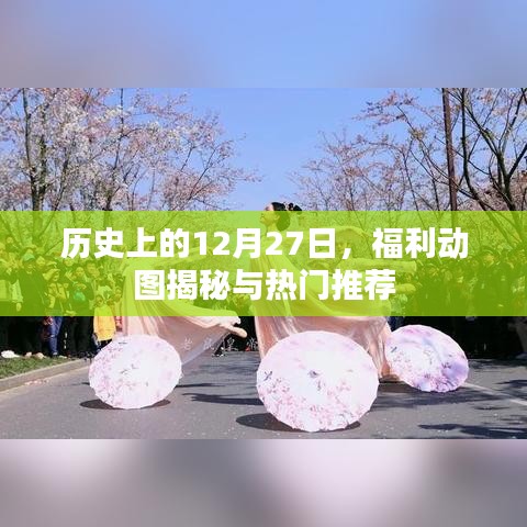 历史上的大事件，揭秘福利动图与热门推荐