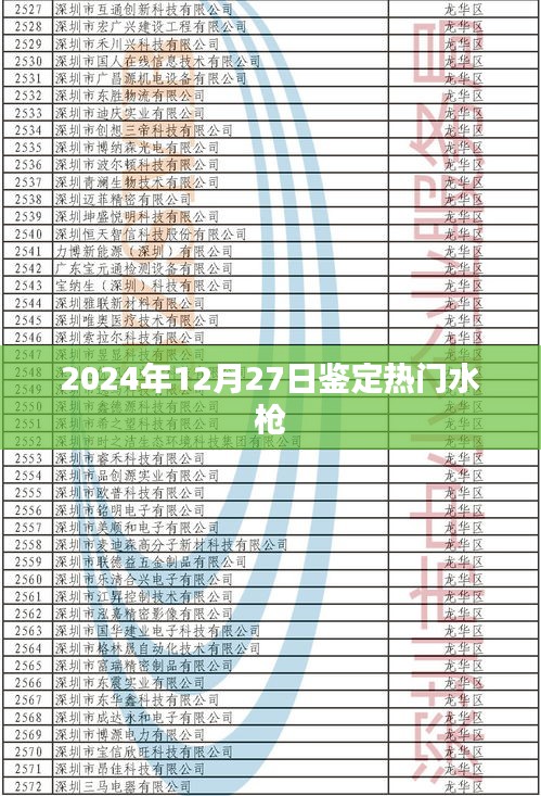 水枪测评推荐，热门水枪性能对比与选购指南（附日期，2024年12月）