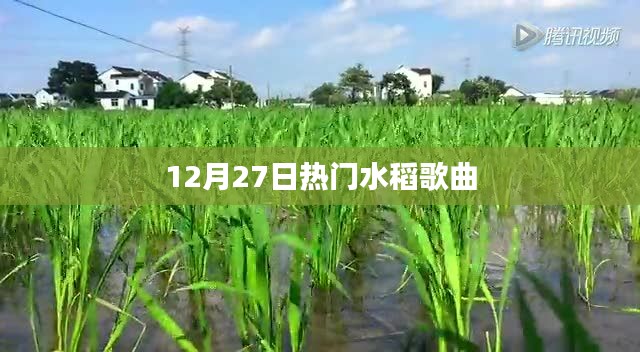 12月27日热门水稻歌曲盘点