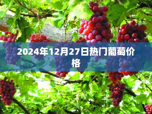关于葡萄价格趋势，最新热门葡萄报价