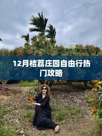 桔荔庄园12月自由行攻略大全