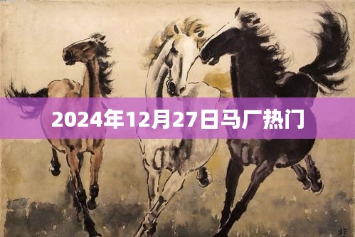 马厂热点聚焦，2024年12月27日动态