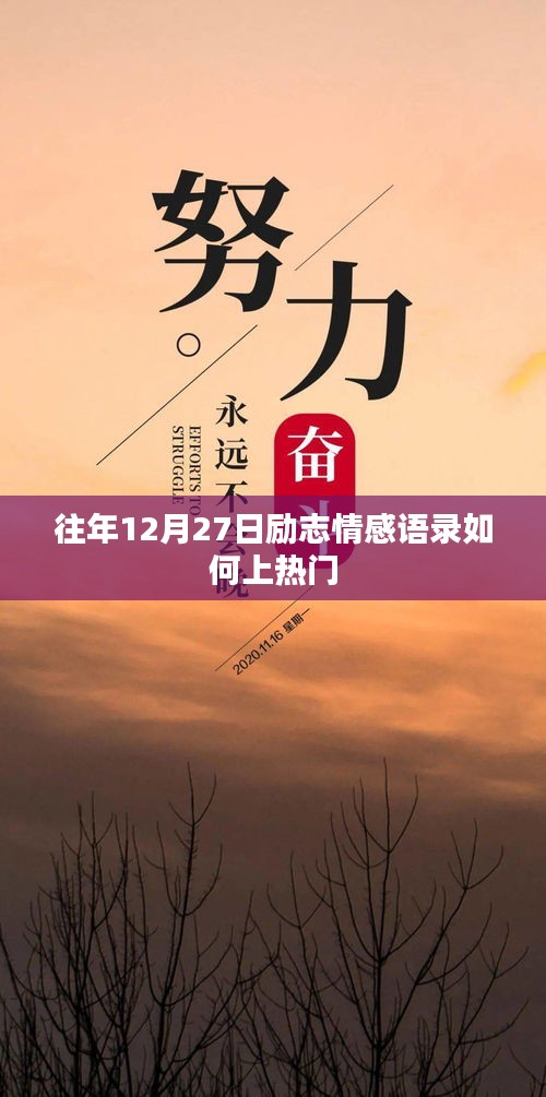 励志情感语录，年末冲刺，热门之选