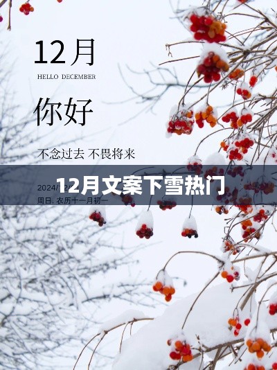 12月雪落纷飞，浪漫文案大赏