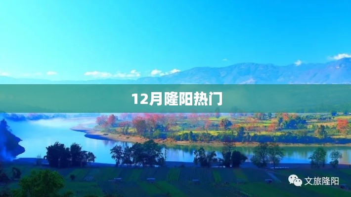 隆阳十二月热点聚焦