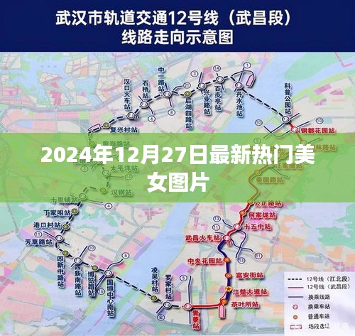 最新热门美女图片大放送，2024年精选