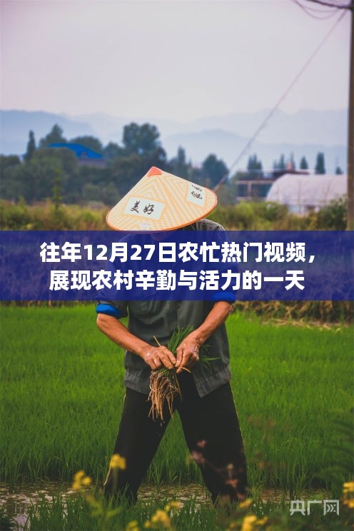 农忙热门视频展现农村辛勤与活力，往年12月27日纪实