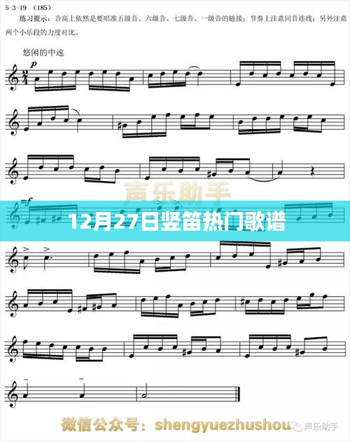 竖笛热门歌谱，精选推荐，每日更新（附歌谱）