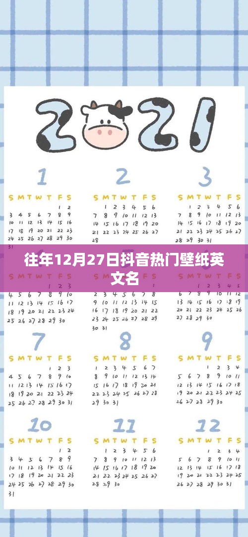 抖音热门壁纸英文名盘点往年精选推荐