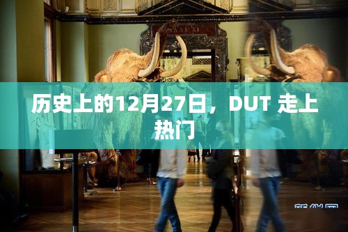 历史上的12月27日，DUT 引发关注热潮