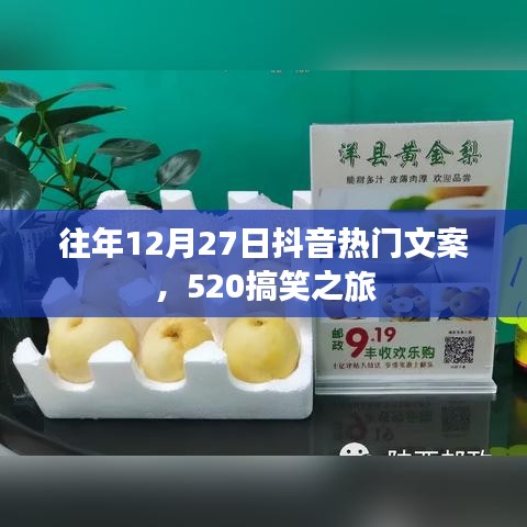 抖音热门文案回顾，520搞笑之旅揭秘往年盛况