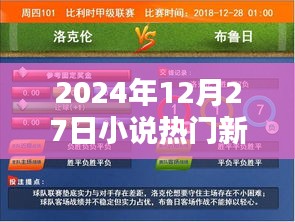 2024年小说热门新作，12月27日值得期待