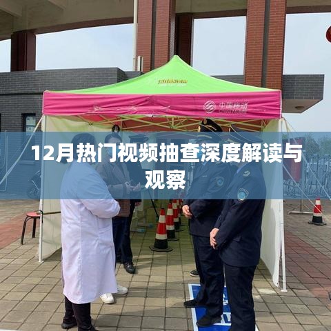 12月热门视频深度解读与观察报告
