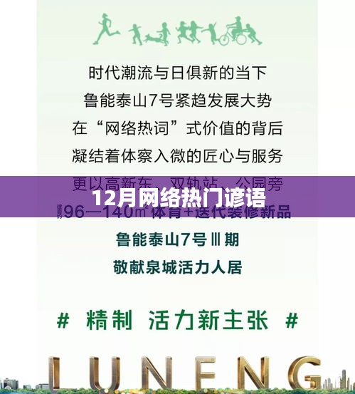 十二月网络流行谚语大盘点