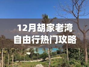 胡家老湾十二月自由行攻略