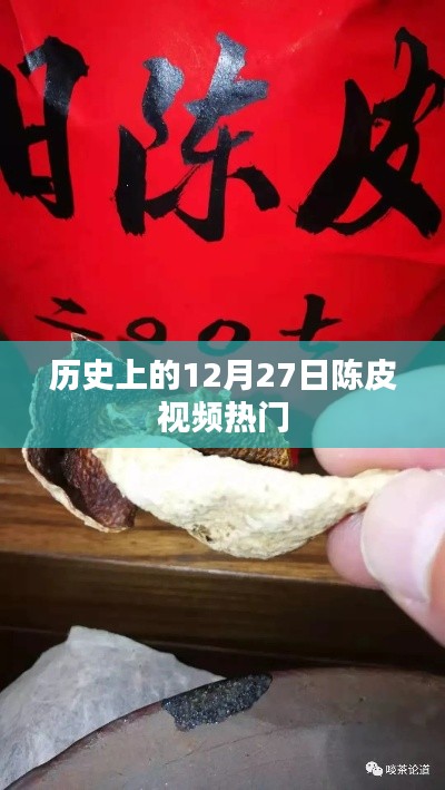 历史上的十二月二十七日，陈皮视频风靡时刻