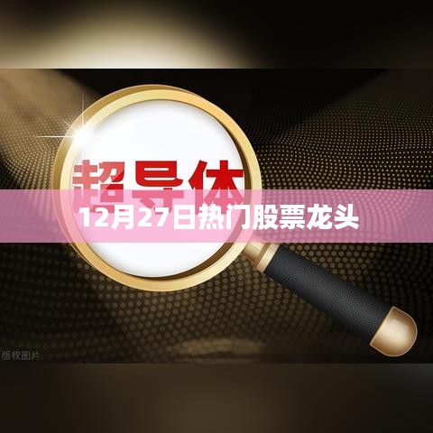 股市风向标，揭秘热门股票龙头